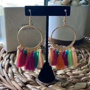 NWOT Colorful Fringe Earrings